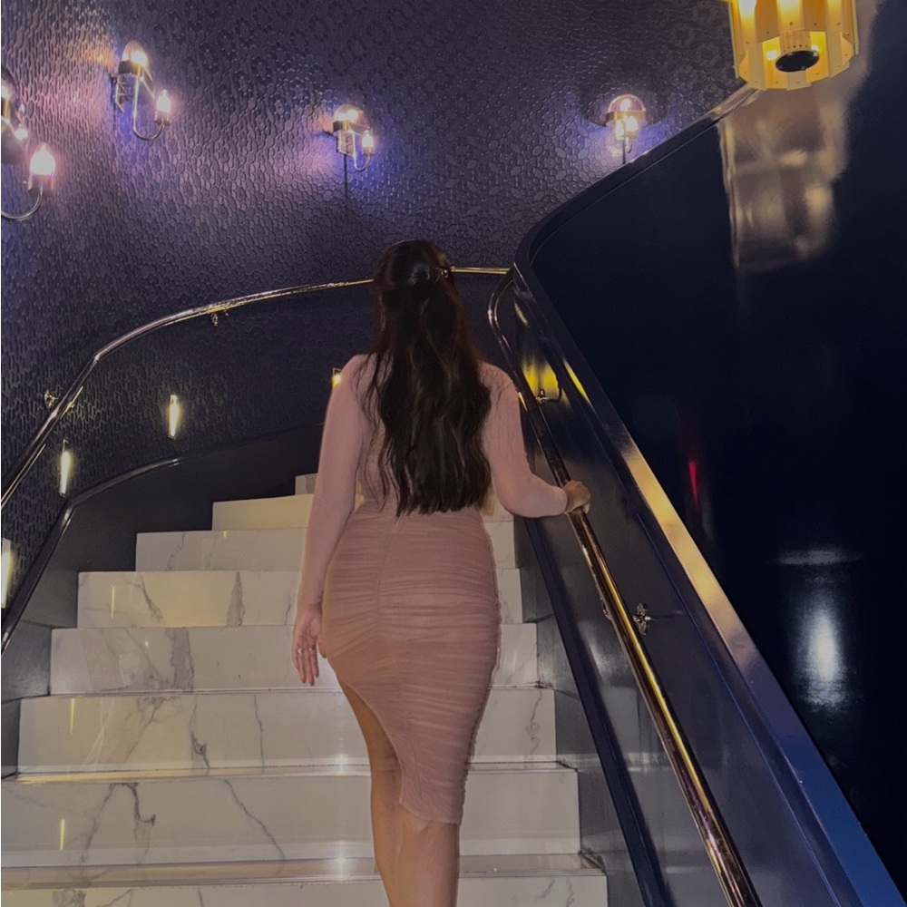 Elegant Nude Pink Ruched Dress - Picture 4 of 4